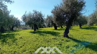 Rustic finca in Alozaina photo 29