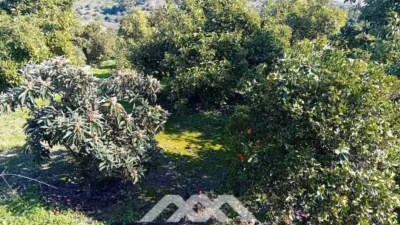 Rustic finca in Alozaina photo 30
