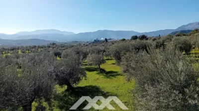 Rustic finca in Alozaina photo 32