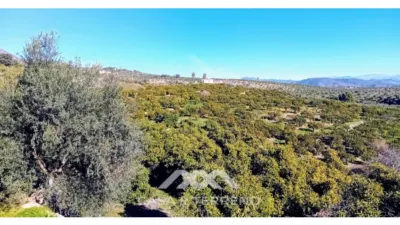 Rustic finca in Alozaina photo 34