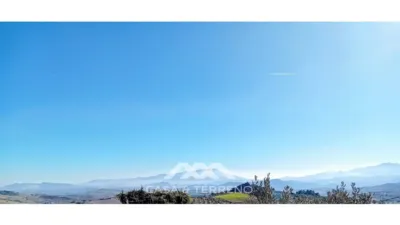 Rustic finca in Alozaina photo 35