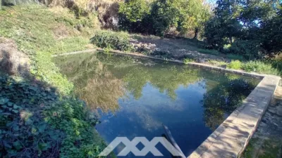 Rustic finca in Alozaina photo 38