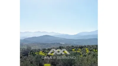 Rustic finca in Alozaina photo 39