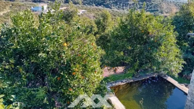 Rustic finca in Alozaina photo 41