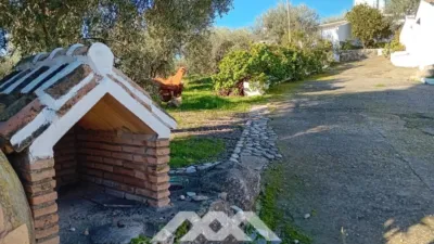 Rustic finca in Alozaina photo 42