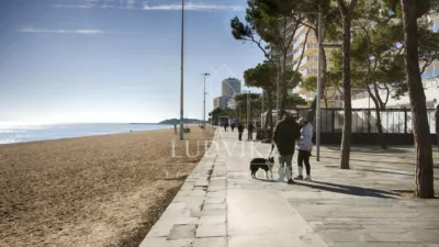 Apartamento en Castell d'Aro, Platja d'Aro i s'Agaró photo 19