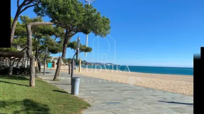 Apartment in Castell d'Aro, Platja d'Aro and s'Agaró photo 5