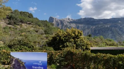 Rustic house in Sóller photo 17