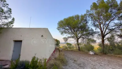Rustic house in Alciri photo 22