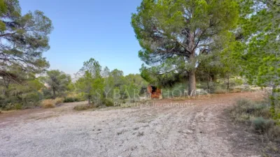 Rustic house in Alciri photo 24