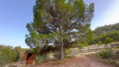 Rustic house in Alciri photo 25