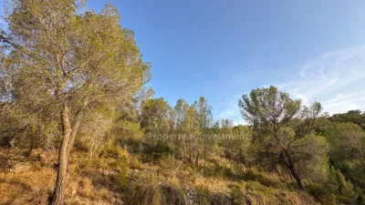 Rustic house in Alciri photo 27