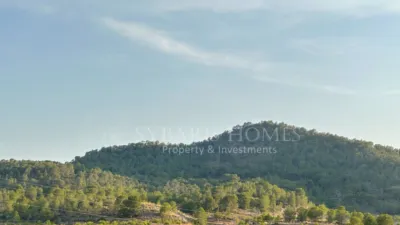 Rustic house in Alciri photo 32