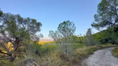 Rustic house in Alciri photo 34