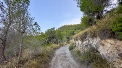 Rustic house in Alciri photo 35