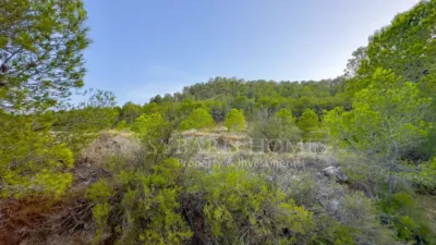 Rustic house in Alciri photo 38