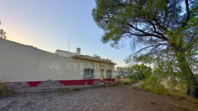 Rustic house in Alciri photo 3