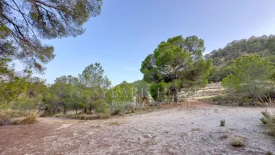 Rustic house in Alciri photo 41