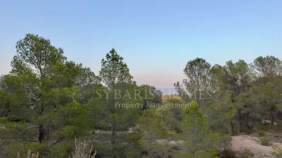 Rustic house in Alciri photo 42