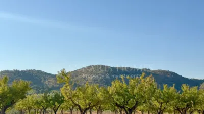 Rustic house in Alciri photo 46