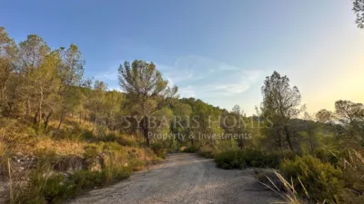 Rustic house in Alciri photo 48