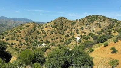 Rustic finca in Álora photo 28