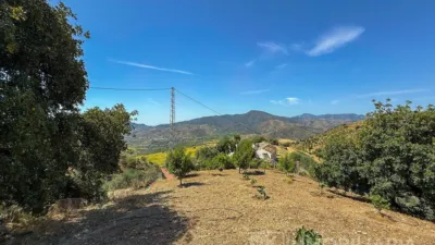 Rustic finca in Álora photo 32