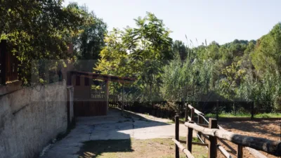 Finca rústica en calle Camí de Can Ximelis photo 28