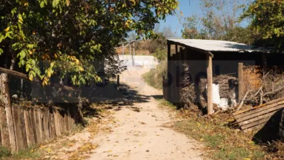 Finca rústica en calle Camí de Can Ximelis photo 6