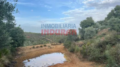 Rustic farm in Castañar de Ibor photo 4