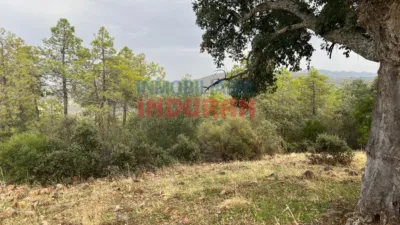 Rustic farm in Castañar de Ibor photo 5