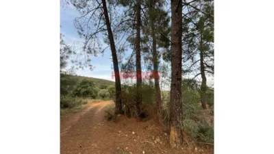Rustic farm in Castañar de Ibor photo 7