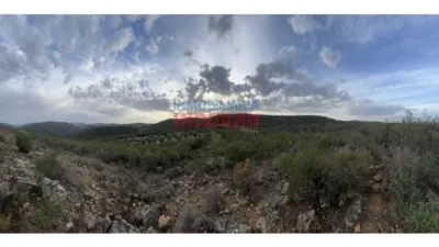 Rustic farm in Castañar de Ibor photo 8