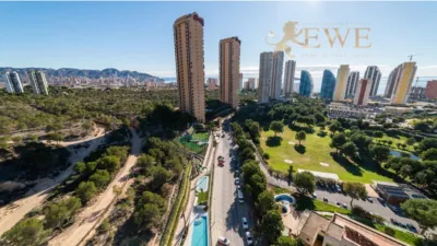 Pis – Benidorm - Vista 3