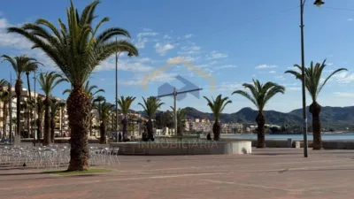 Apartment in Puerto de Mazarrón photo 31