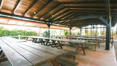 Rustic Finca in Pizarra photo 16