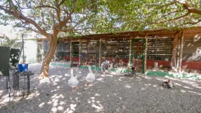 Rustic Finca in Pizarra photo 19