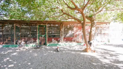 Rustic Finca in Pizarra photo 20