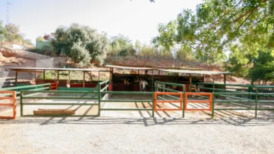 Rustic Finca in Pizarra photo 25