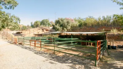 Rustic Finca in Pizarra photo 26