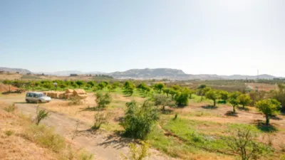 Rustic Finca in Pizarra photo 45