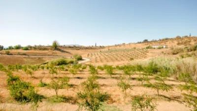 Rustic Finca in Pizarra photo 47
