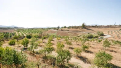 Rustic Finca in Pizarra photo 48