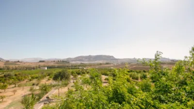 Rustic Finca in Pizarra photo 86