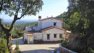 Chalet in Urbanitzacions del Nord photo 39