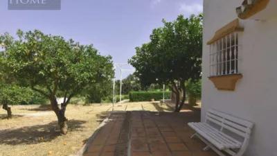 House on Calle Alvaro Martin, No. 67 photo 4