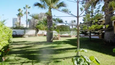 Chalet in Los Belones photo 5