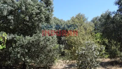 Rustic farm in Peraleda de la Mata photo 11