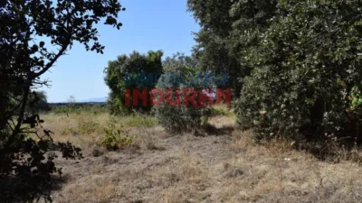 Rustic farm in Peraleda de la Mata photo 12