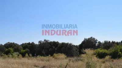 Rustic farm in Peraleda de la Mata photo 4